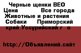 Черные щенки ВЕО › Цена ­ 5 000 - Все города Животные и растения » Собаки   . Приморский край,Уссурийский г. о. 